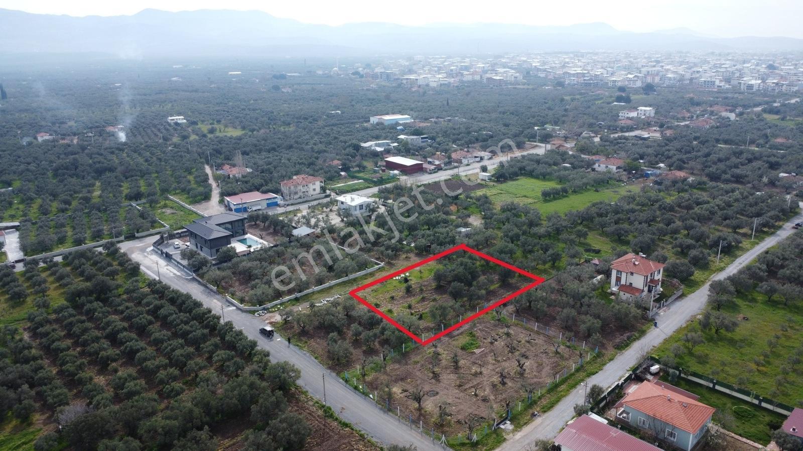 Ulucami Mah. 1270 M2 Villa İmarlı Arsa — fotoğraf 11