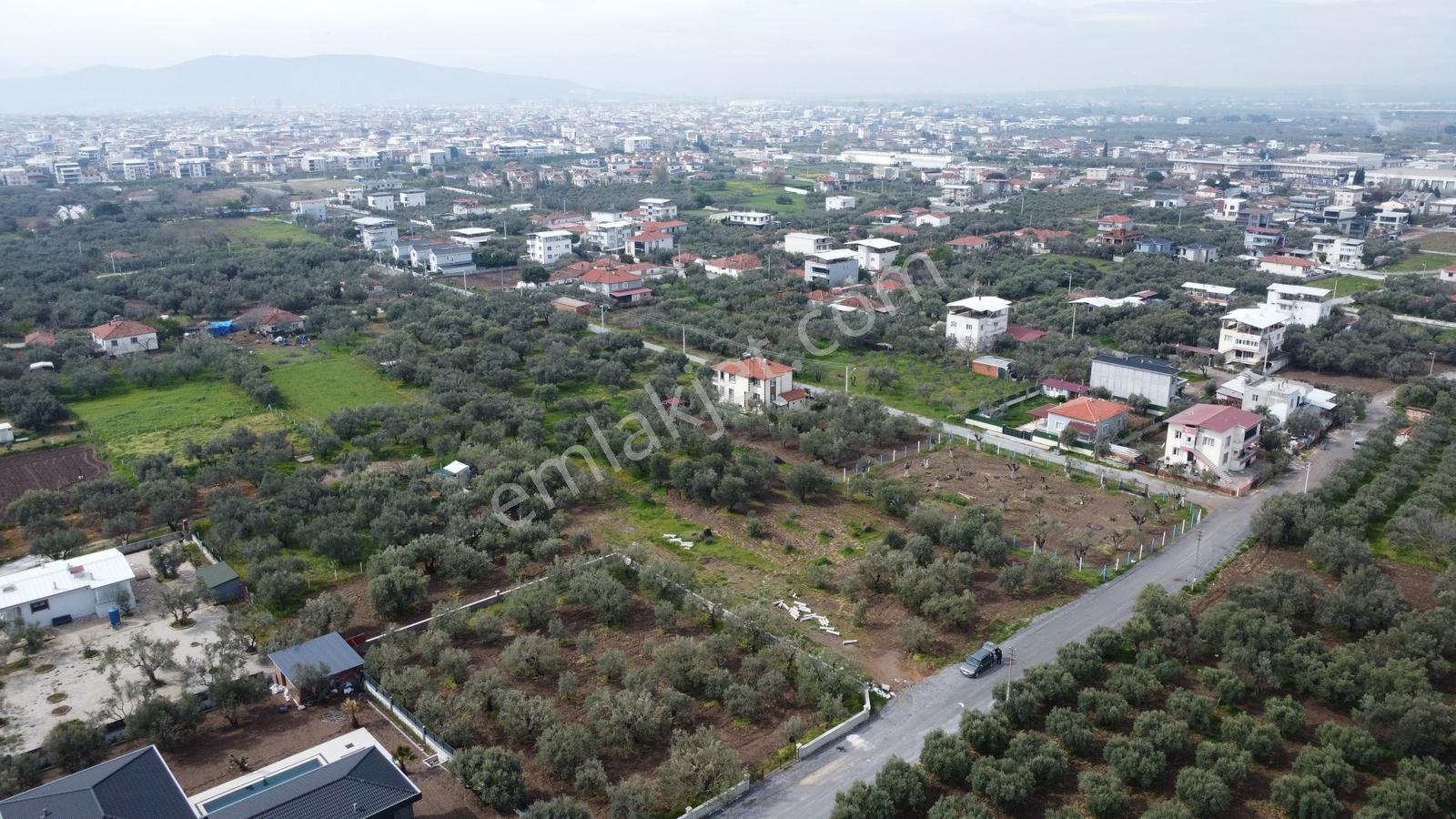 Ulucami Mah. 1270 M2 Villa İmarlı Arsa — fotoğraf 13