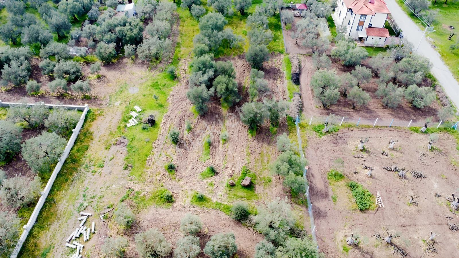 Ulucami Mah. 1270 M2 Villa İmarlı Arsa — fotoğraf 16