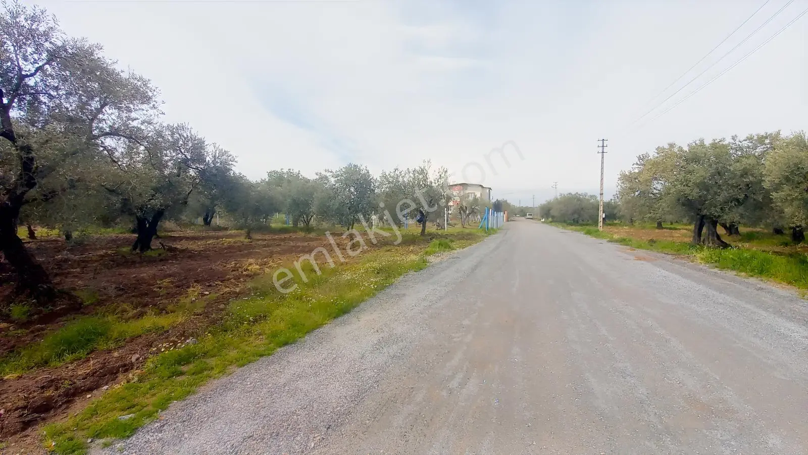 Ulucami Mah. 1270 M2 Villa İmarlı Arsa — fotoğraf 17