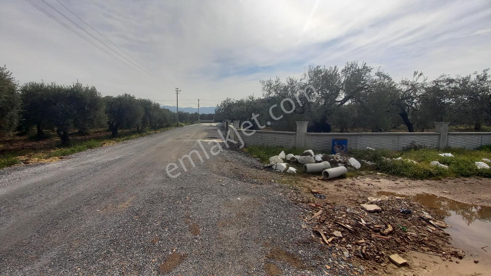 Ulucami Mah. 1270 M2 Villa İmarlı Arsa — fotoğraf 19
