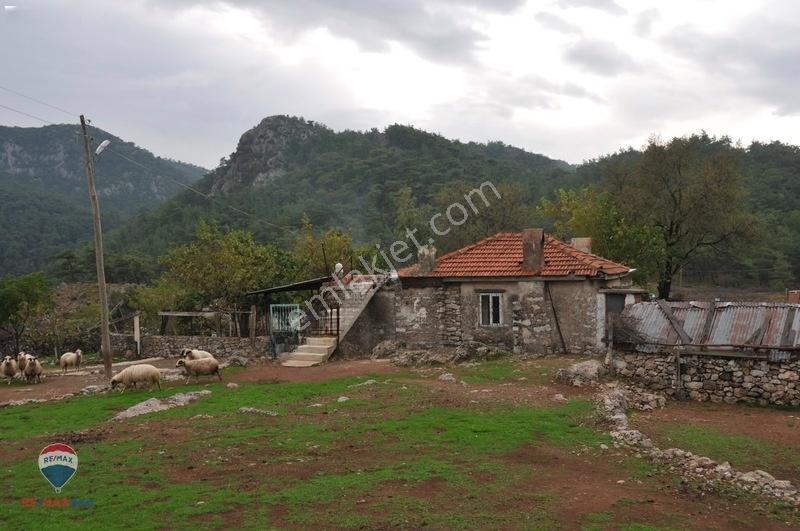 56 Marmarıs Osmanıyede Satılık 2660 M² Tarla