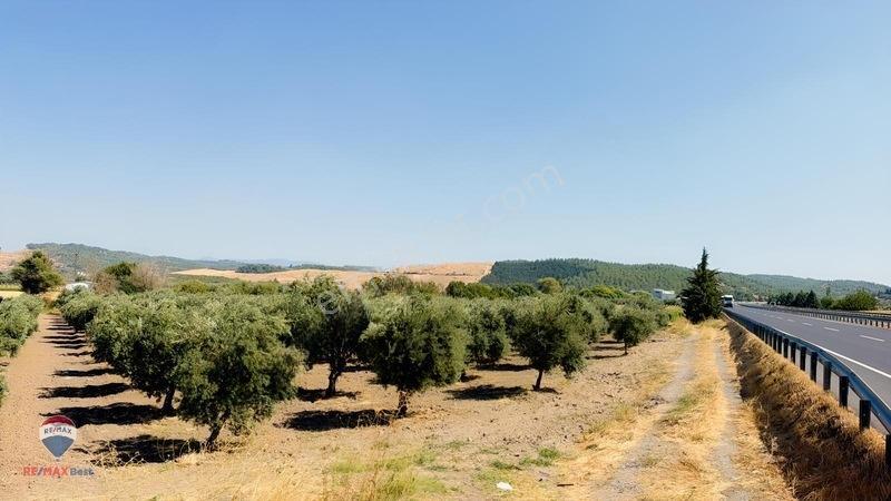 13 Manisa Kırkağaçta 3.600 M² Satılık Tarla