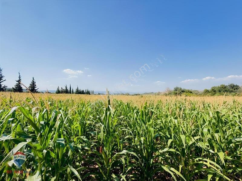13 Manisa Kırkağaçta 3.600 M² Satılık Tarla — fotoğraf 2