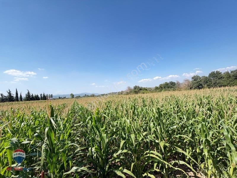 13 Manisa Kırkağaçta 3.600 M² Satılık Tarla — fotoğraf 4