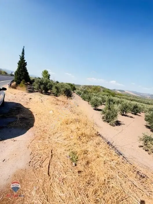 13 Manisa Kırkağaçta 3.600 M² Satılık Tarla — fotoğraf 6