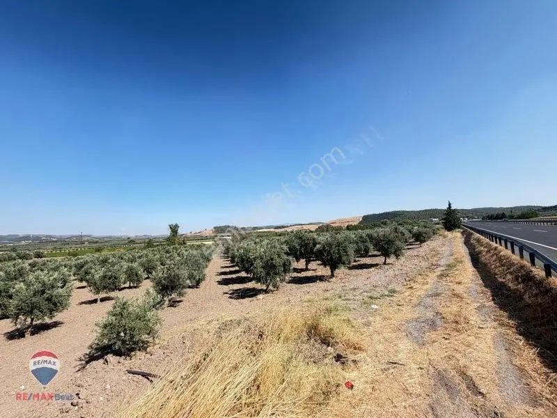 13 Manisa Kırkağaçta 3.600 M² Satılık Tarla — fotoğraf 7