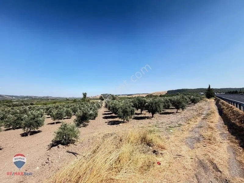 13 Manisa Kırkağaçta 3.600 M² Satılık Tarla — fotoğraf 8