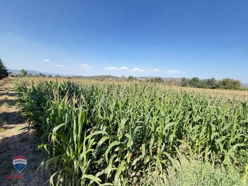 13 Manisa Kırkağaçta 3.600 M² Satılık Tarla — fotoğraf 15