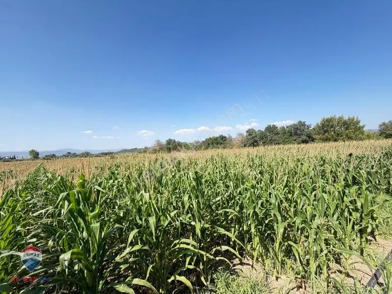 13 Manisa Kırkağaçta 3.600 M² Satılık Tarla — fotoğraf 17