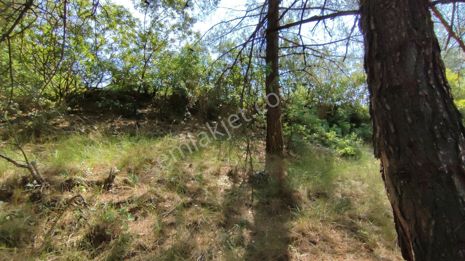Bursa Keles Kıranışıklar'da 650 M² Satılık Arazi — fotoğraf 3