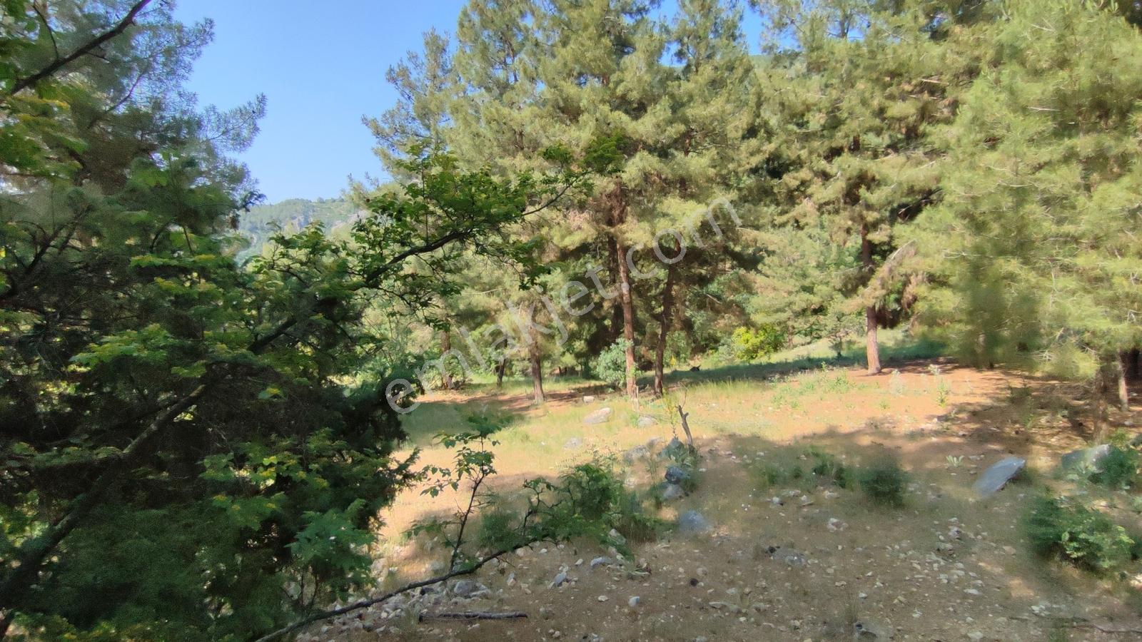 Bursa Keles Kıranışıklar'da 650 M² Satılık Arazi — fotoğraf 4