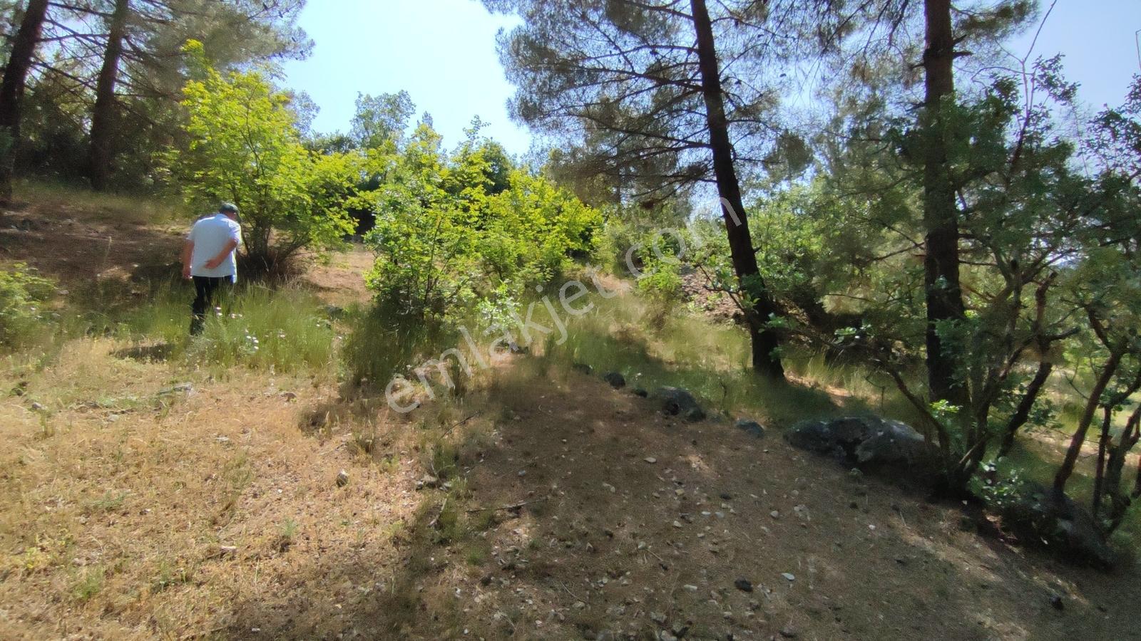 Bursa Keles Kıranışıklar'da 650 M² Satılık Arazi — fotoğraf 5