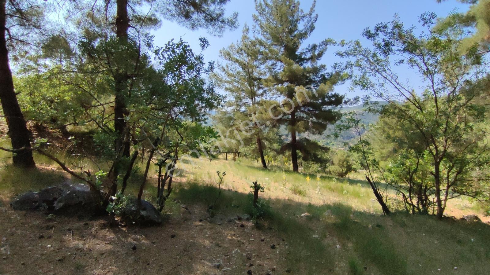 Bursa Keles Kıranışıklar'da 650 M² Satılık Arazi — fotoğraf 6
