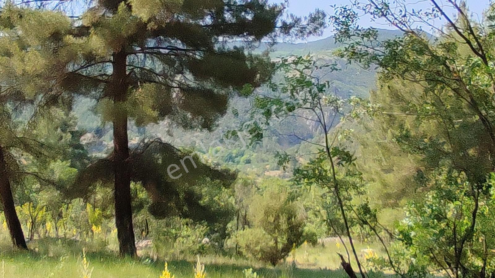Bursa Keles Kıranışıklar'da 650 M² Satılık Arazi — fotoğraf 7
