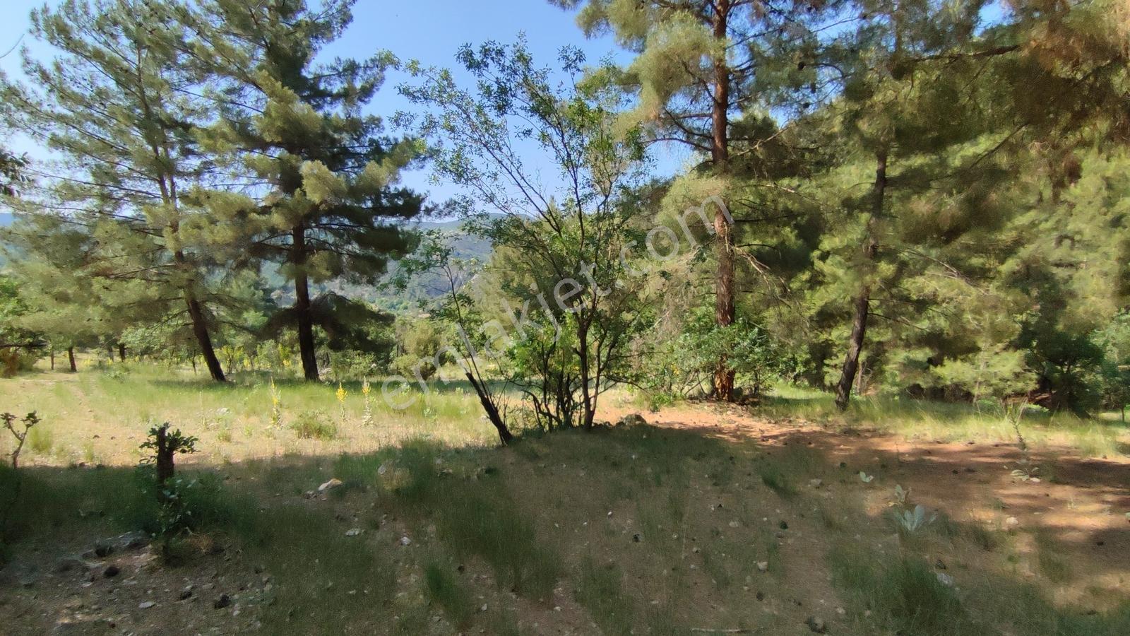 Bursa Keles Kıranışıklar'da 650 M² Satılık Arazi — fotoğraf 8