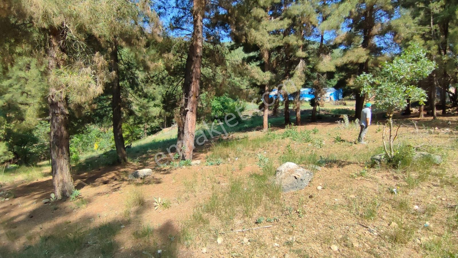 Bursa Keles Kıranışıklar'da 650 M² Satılık Arazi — fotoğraf 9