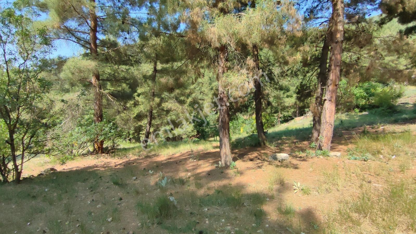 Bursa Keles Kıranışıklar'da 650 M² Satılık Arazi — fotoğraf 10