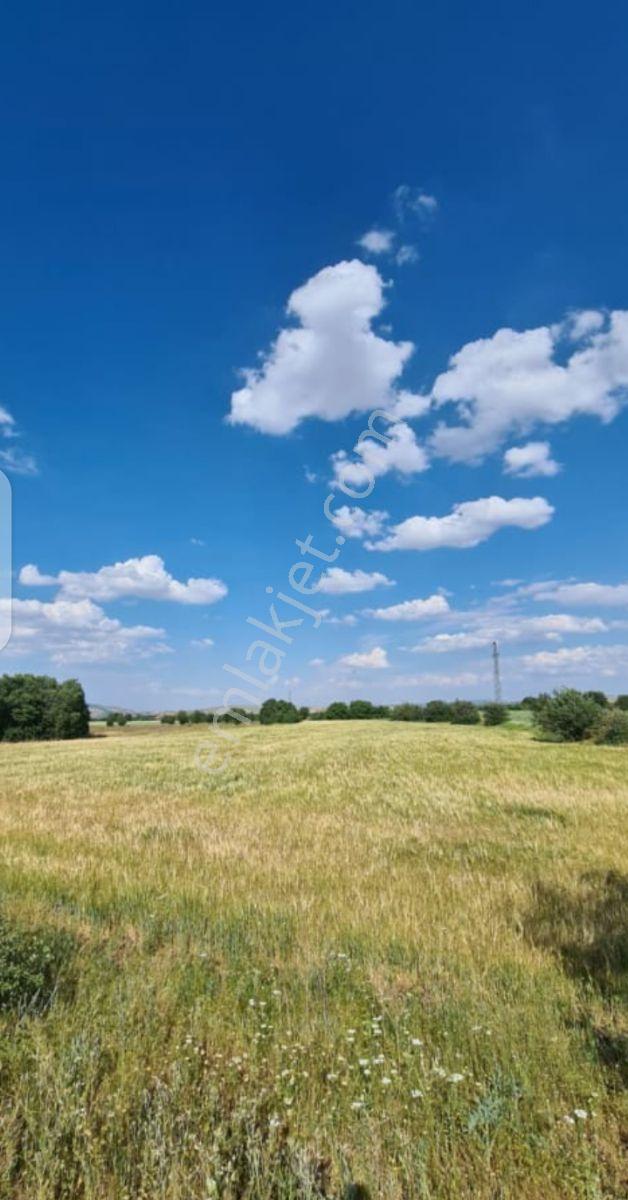 Acil Satılık Fırsat Tarla — fotoğraf 4