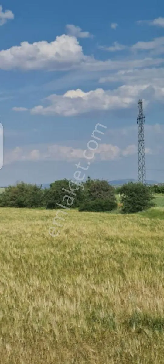 Acil Satılık Fırsat Tarla — fotoğraf 6