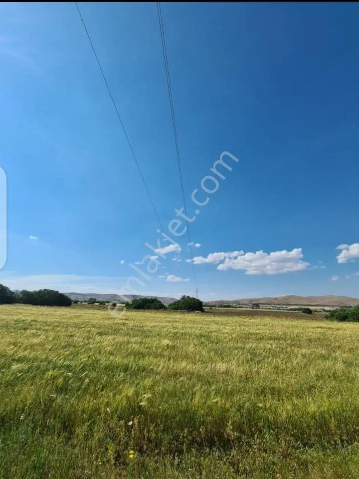 Acil Satılık Fırsat Tarla — fotoğraf 7