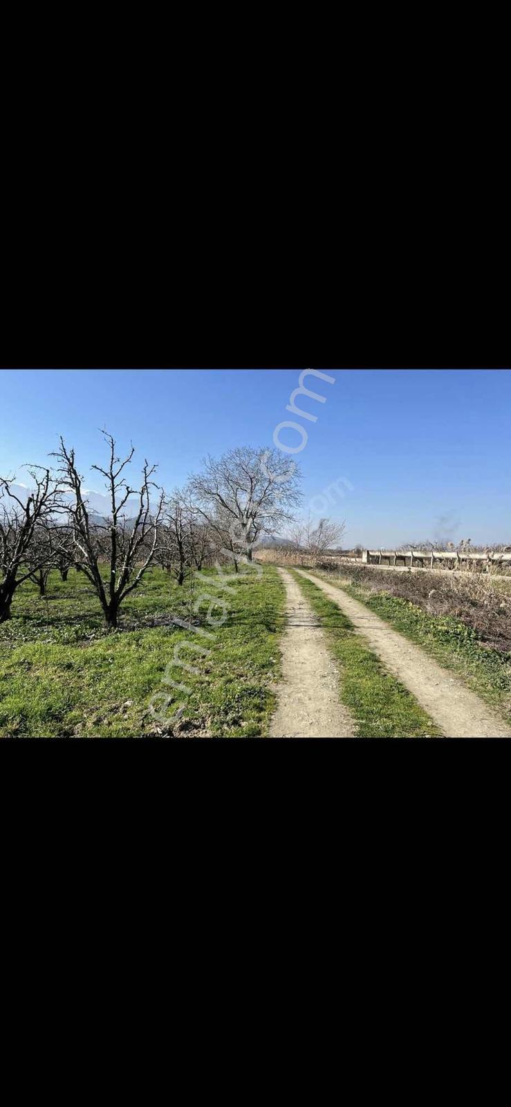 Bursa Kestel Narlıdere'de 6253 M² Bahçe — fotoğraf 2
