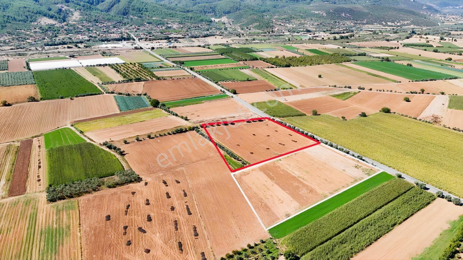 Gökpınarda Asfalt Cepheli İyi Konumlu 10.241 M² Tarla