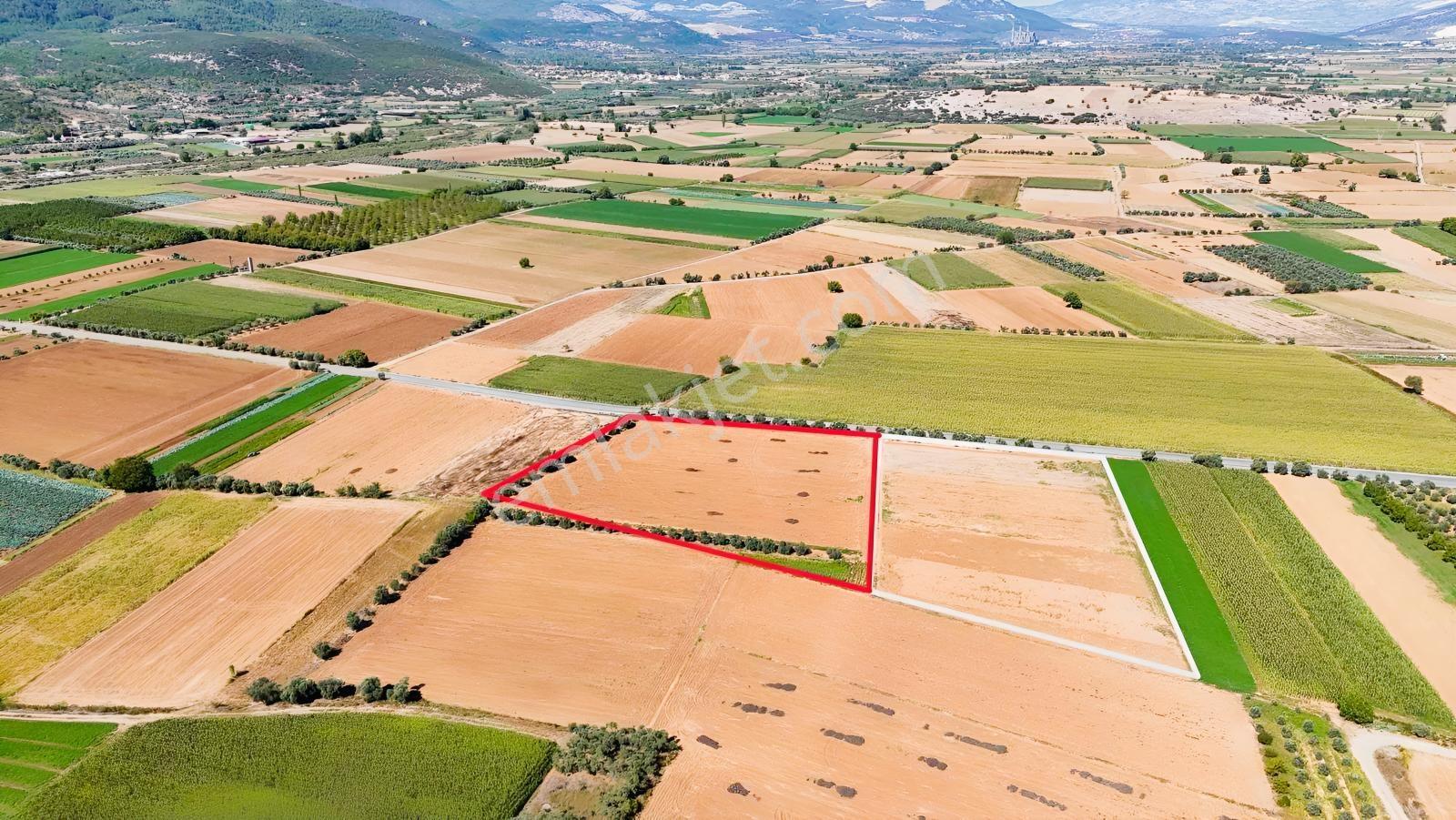 Gökpınarda Asfalt Cepheli İyi Konumlu 10.241 M² Tarla — fotoğraf 2