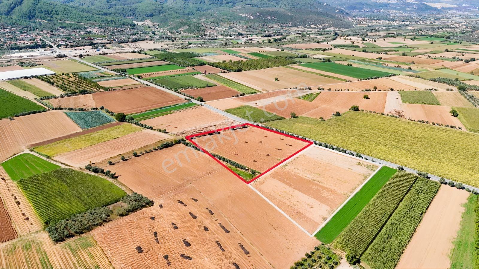 Gökpınarda Asfalt Cepheli İyi Konumlu 10.241 M² Tarla — fotoğraf 4