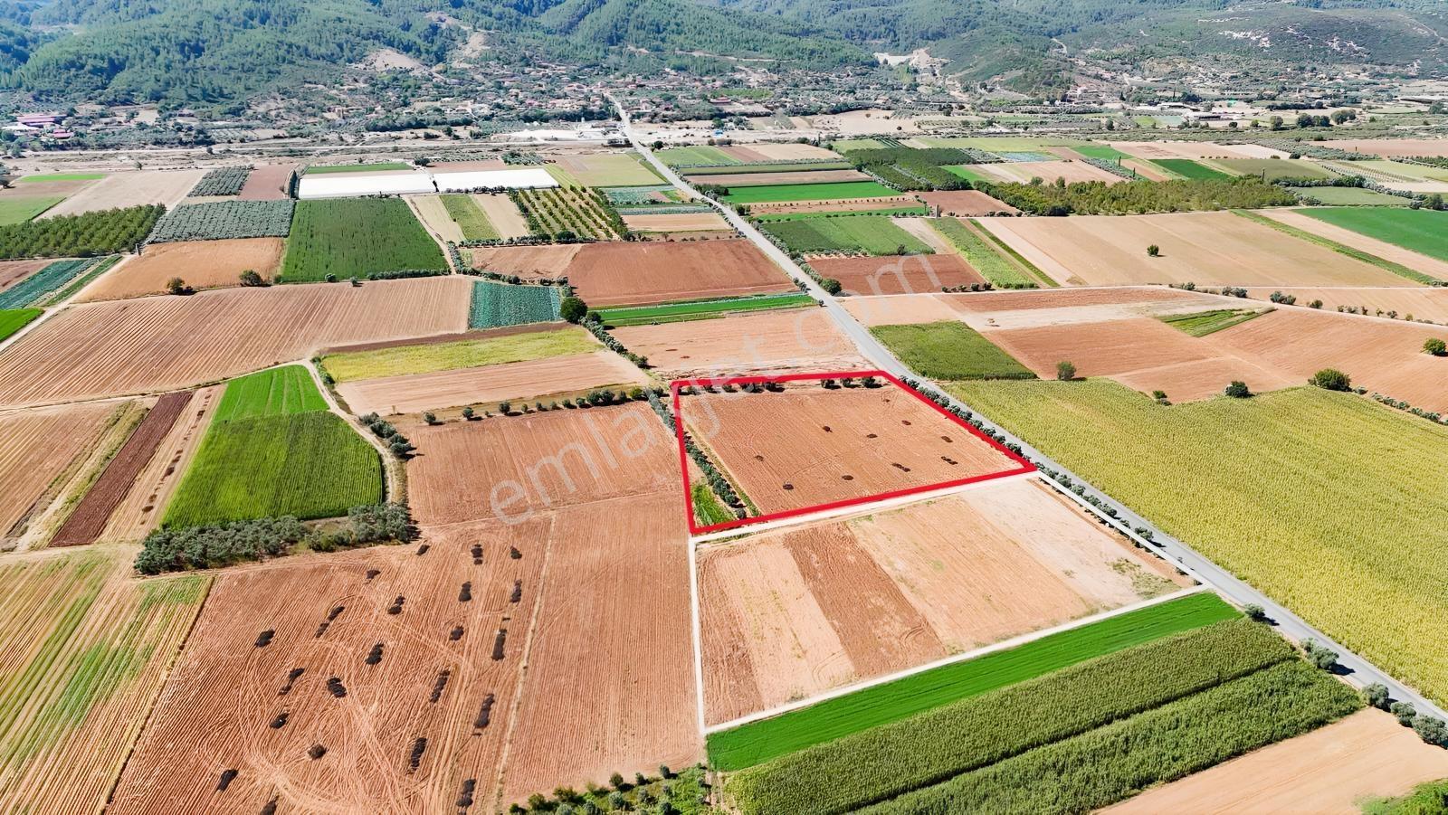 Gökpınarda Asfalt Cepheli İyi Konumlu 10.241 M² Tarla — fotoğraf 5