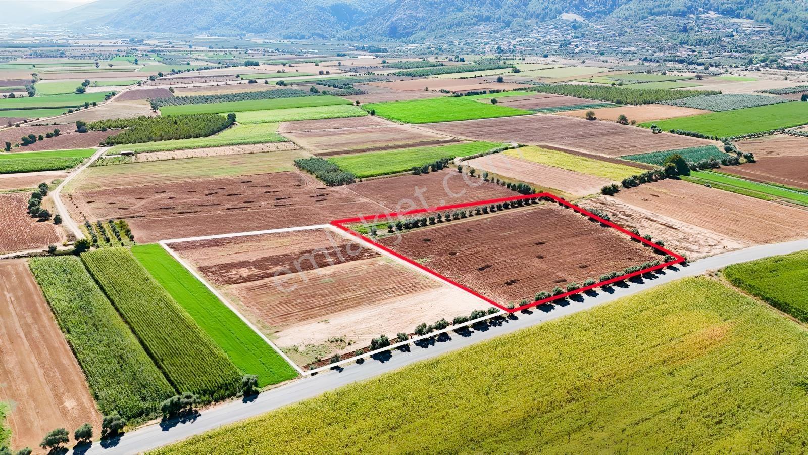 Gökpınarda Asfalt Cepheli İyi Konumlu 10.241 M² Tarla — fotoğraf 9