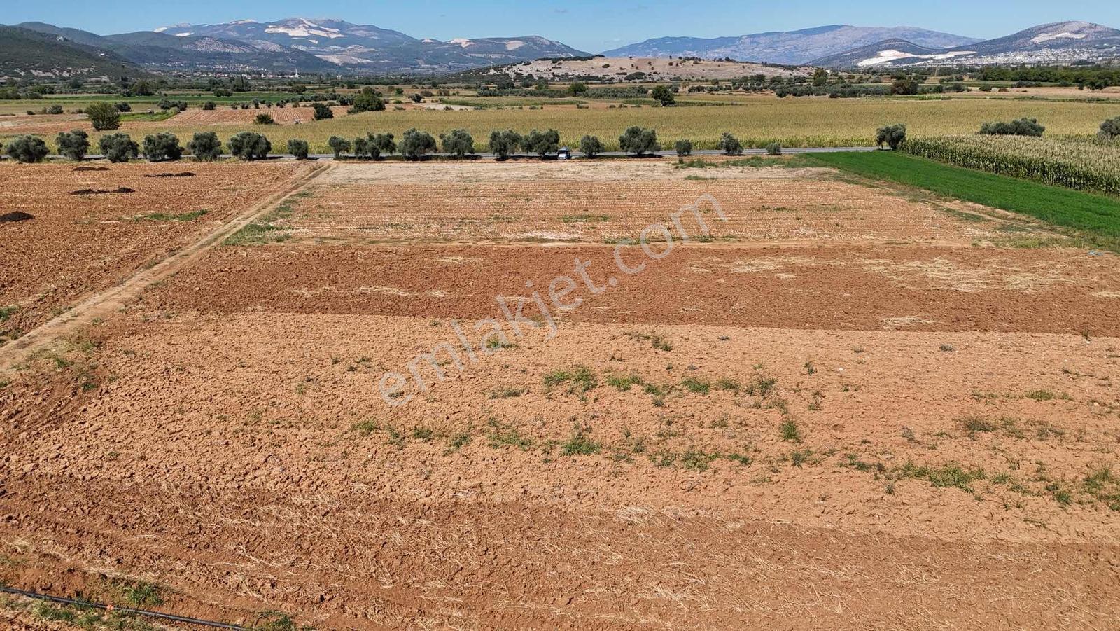 Gökpınarda Asfalt Cepheli İyi Konumlu 10.241 M² Tarla — fotoğraf 11