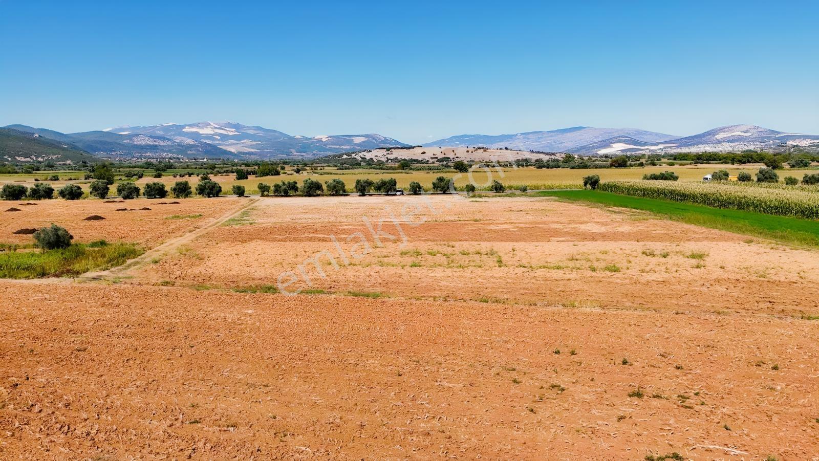 Gökpınarda Asfalt Cepheli İyi Konumlu 10.241 M² Tarla — fotoğraf 12