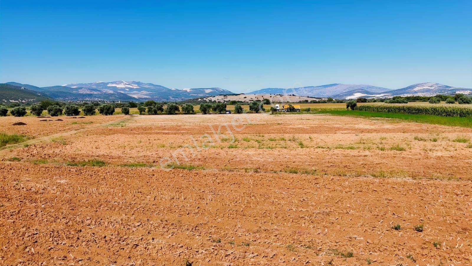 Gökpınarda Asfalt Cepheli İyi Konumlu 10.241 M² Tarla — fotoğraf 13