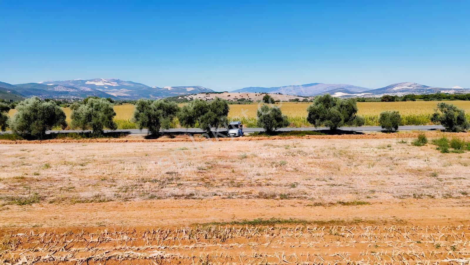 Gökpınarda Asfalt Cepheli İyi Konumlu 10.241 M² Tarla — fotoğraf 14