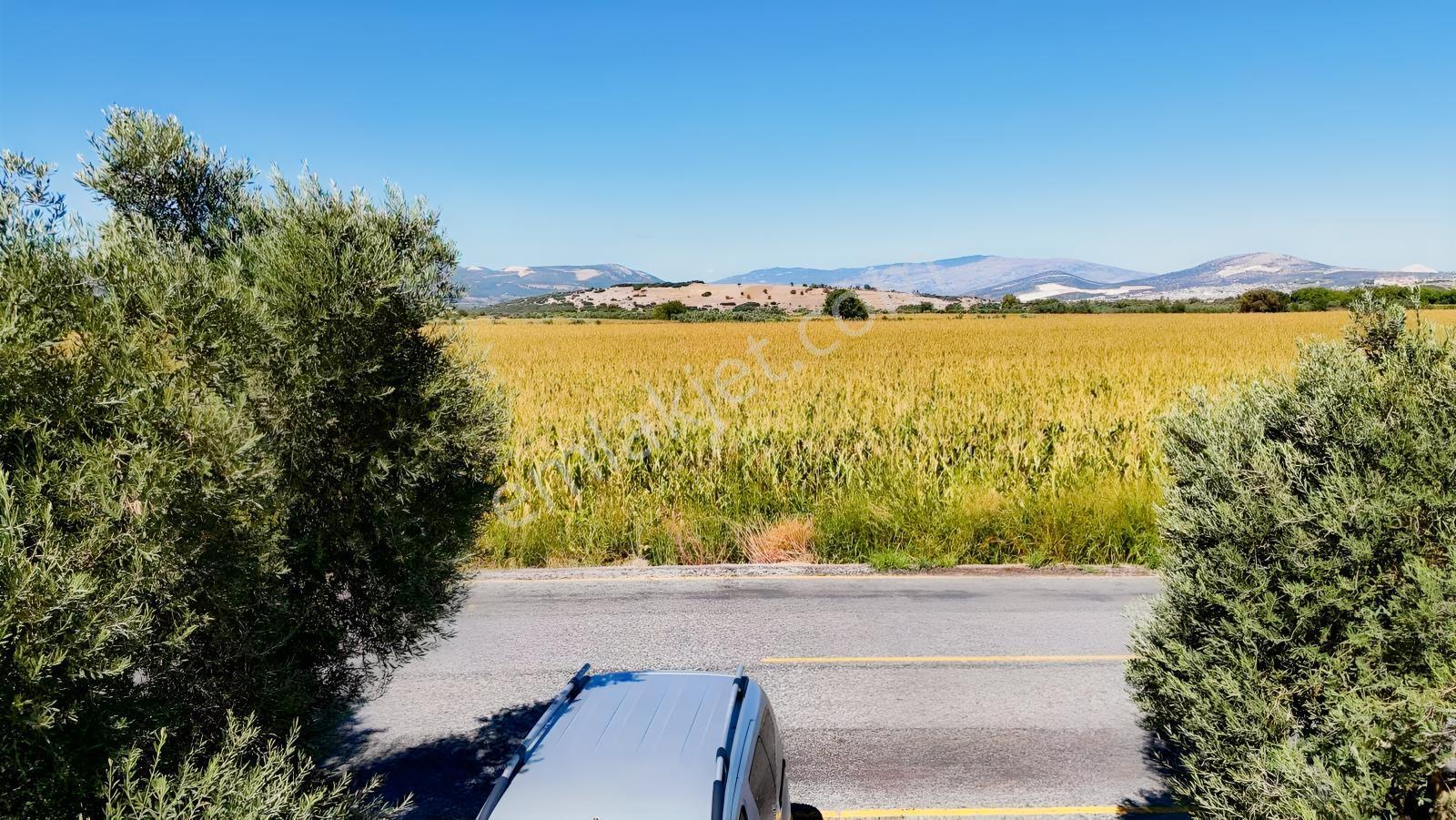 Gökpınarda Asfalt Cepheli İyi Konumlu 10.241 M² Tarla — fotoğraf 15