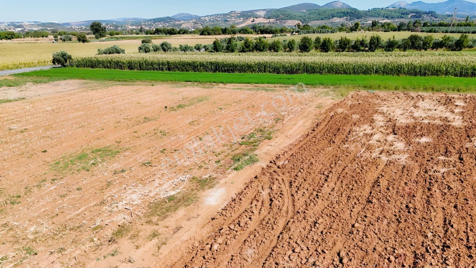 Gökpınarda Asfalt Cepheli İyi Konumlu 10.241 M² Tarla — fotoğraf 16