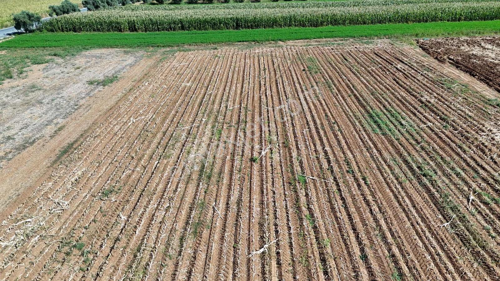 Gökpınarda Asfalt Cepheli İyi Konumlu 10.241 M² Tarla — fotoğraf 17