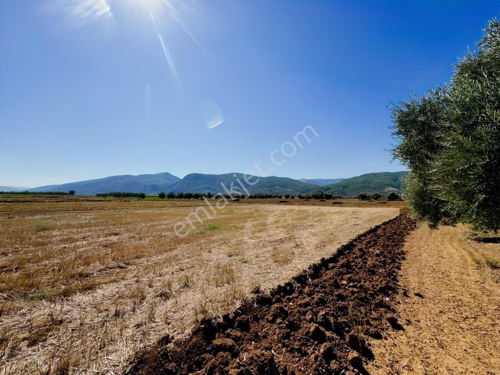 Gökpınarda Asfalt Cepheli İyi Konumlu 10.241 M² Tarla — fotoğraf 19