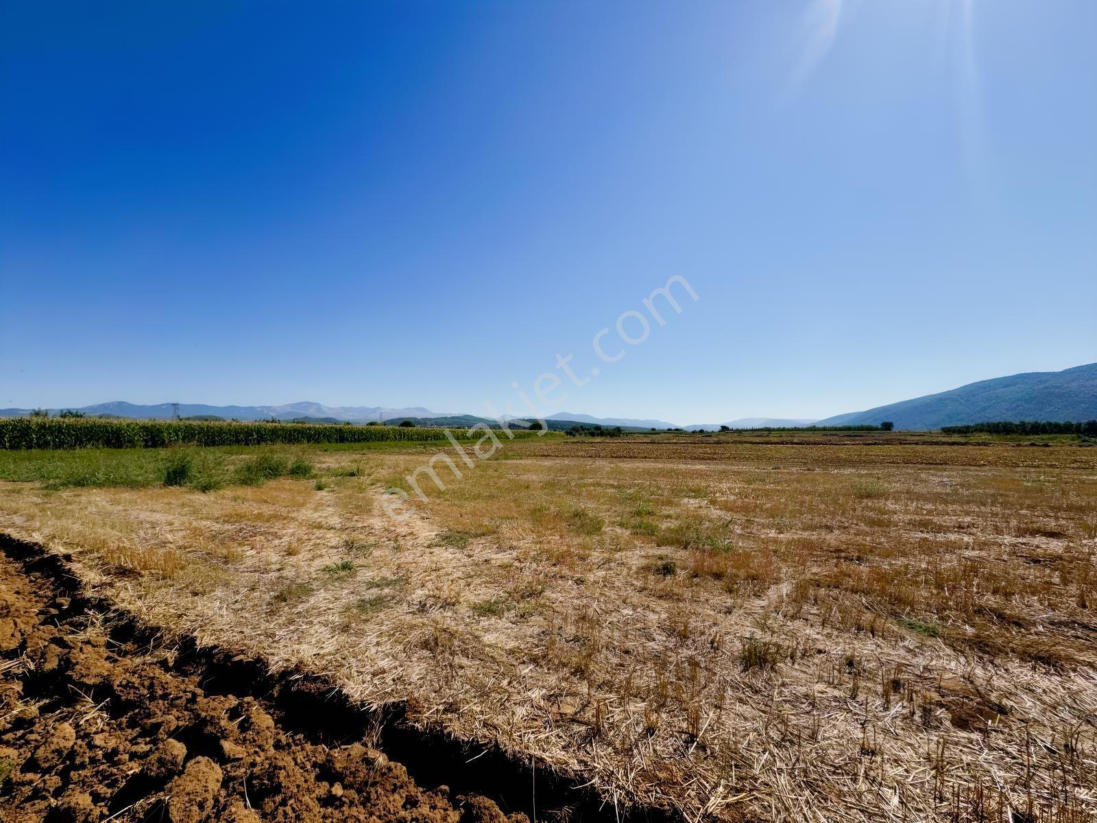 Gökpınarda Asfalt Cepheli İyi Konumlu 10.241 M² Tarla — fotoğraf 20