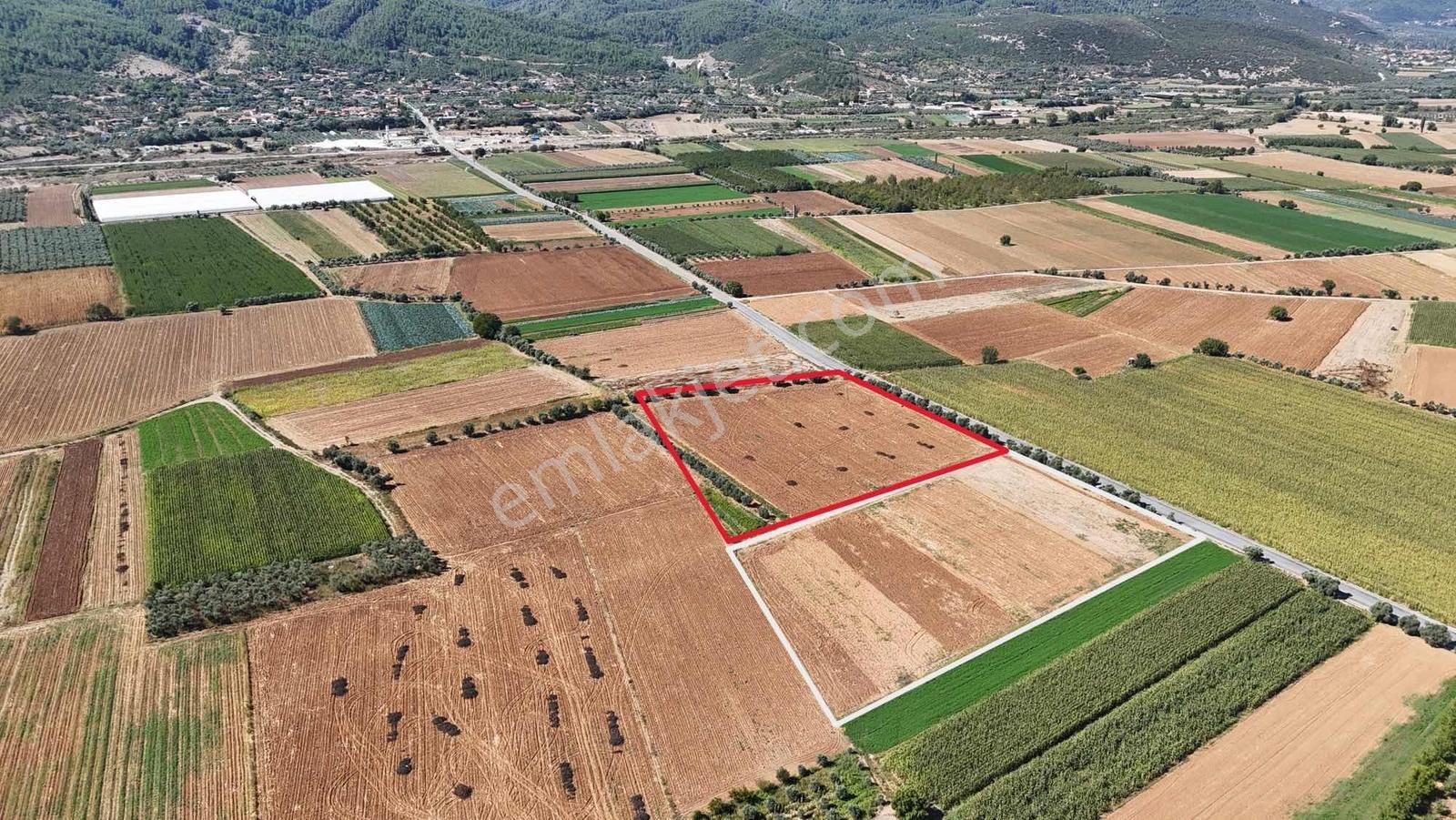 Gökpınarda Asfalt Cepheli İyi Konumlu 10.241 M² Tarla — fotoğraf 28