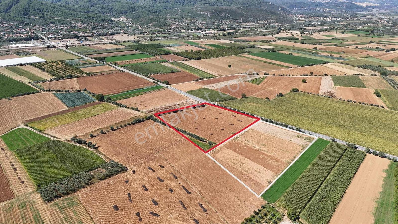 Gökpınarda Asfalt Cepheli İyi Konumlu 10.241 M² Tarla — fotoğraf 29