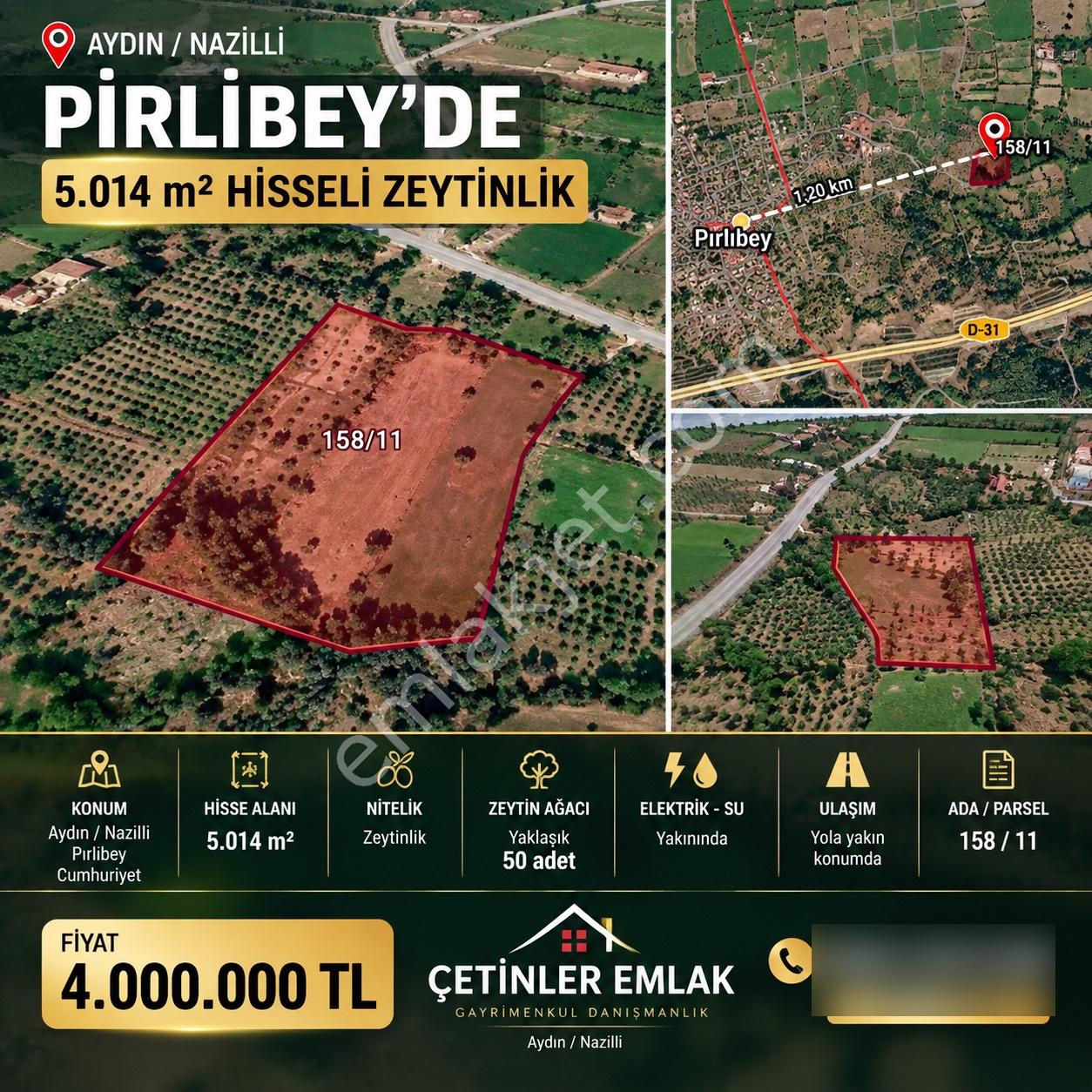 Pirlibey’de 5.014 M² Zeytinlik