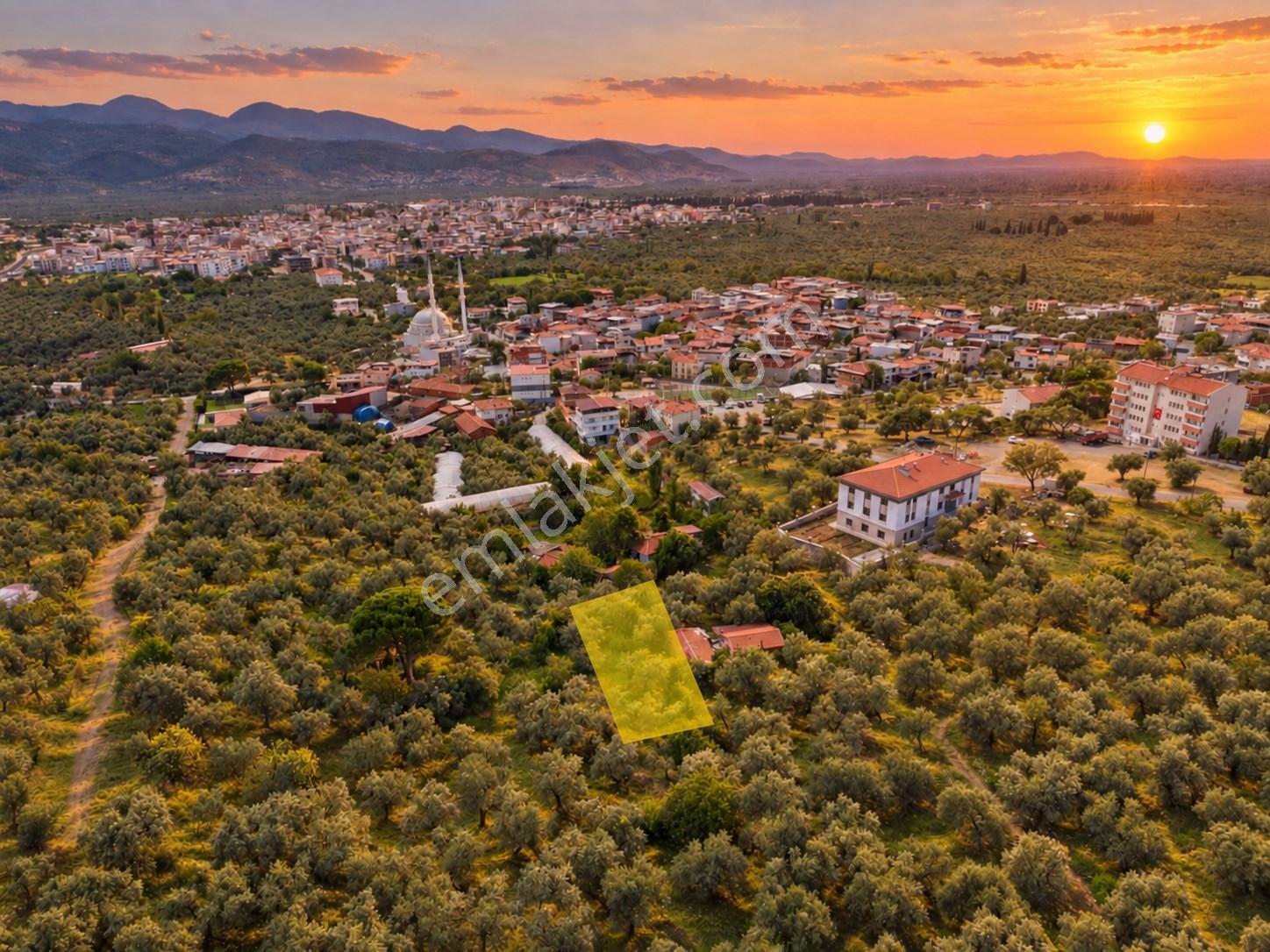 Mera Emlaktan Havran Temaşalık Mh. 235M2 4 Villalık İmarlı Arsa