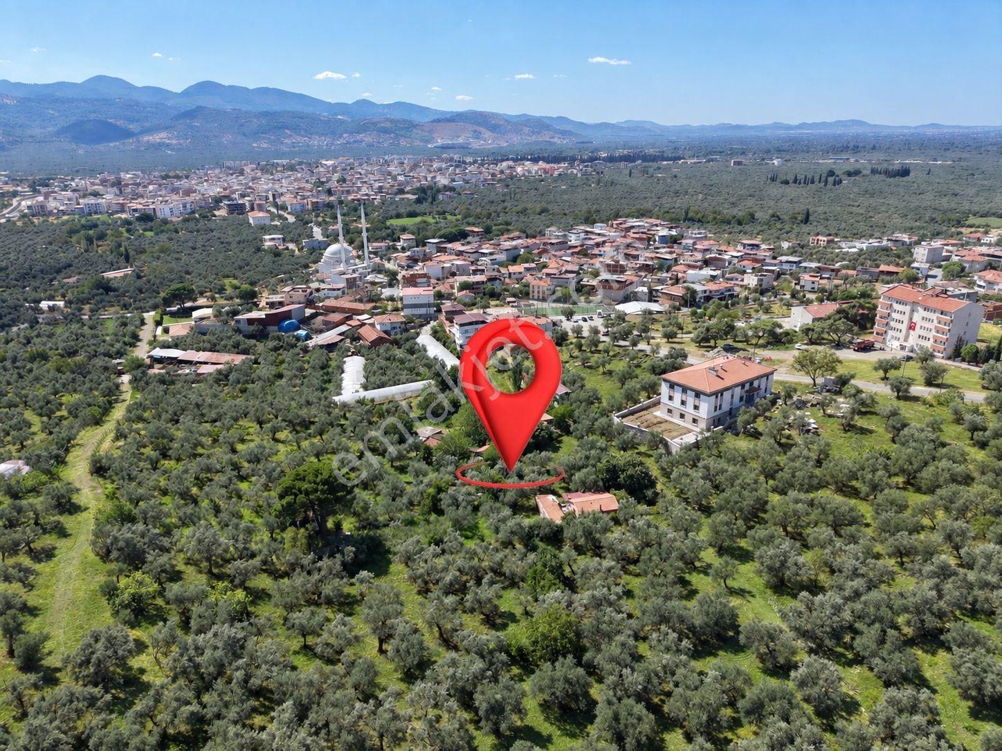 Mera Emlaktan Havran Temaşalık Mh. 235m2 4 Villalık İmarlı Arsa — fotoğraf 2