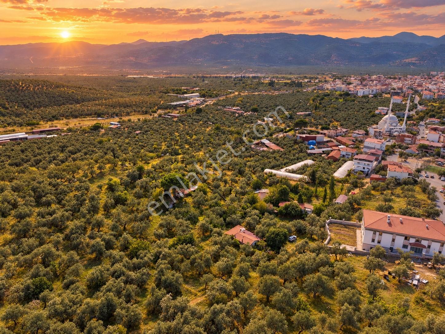 Mera Emlaktan Havran Temaşalık Mh. 235m2 4 Villalık İmarlı Arsa — fotoğraf 4