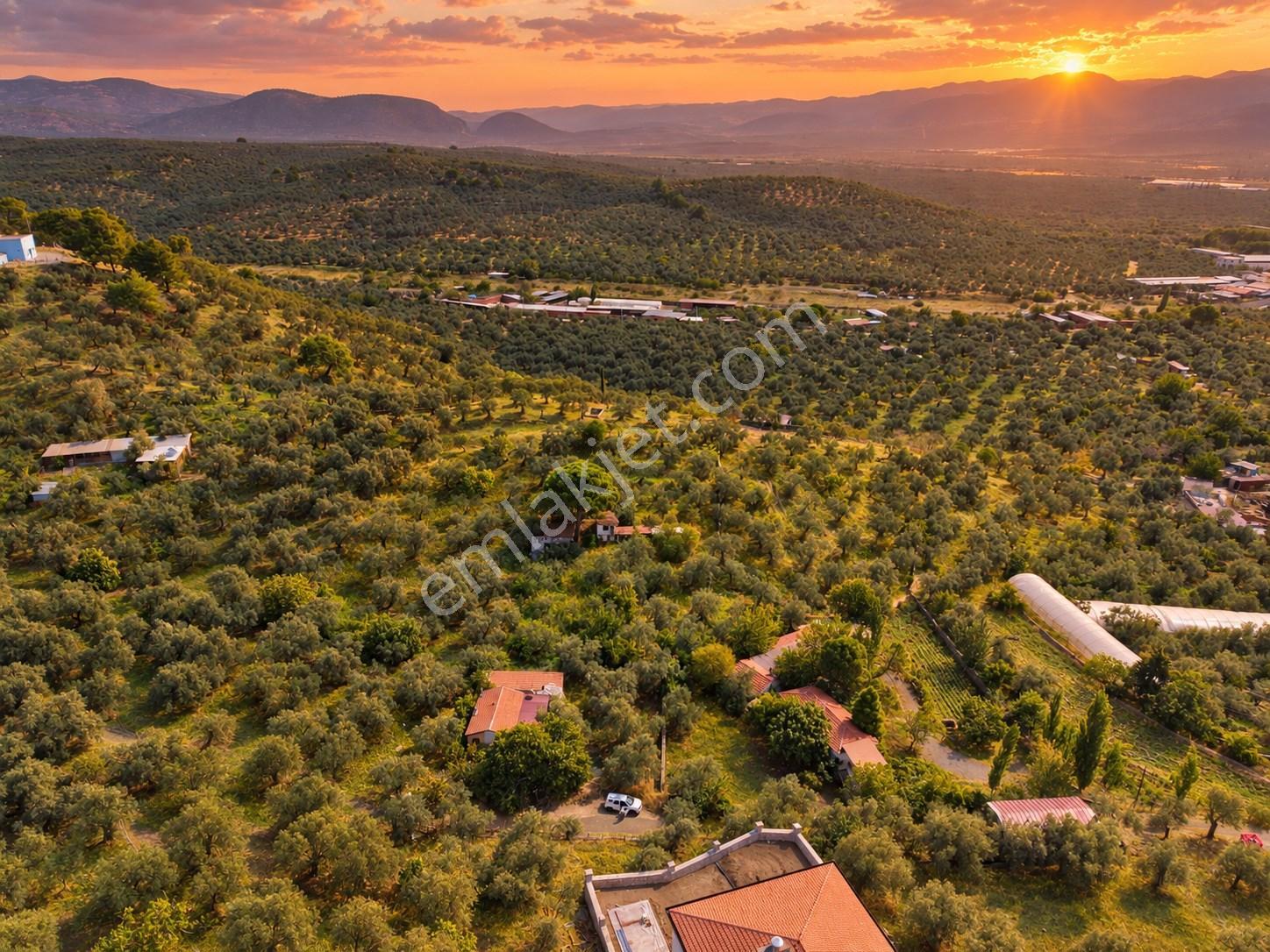 Mera Emlaktan Havran Temaşalık Mh. 235m2 4 Villalık İmarlı Arsa — fotoğraf 5