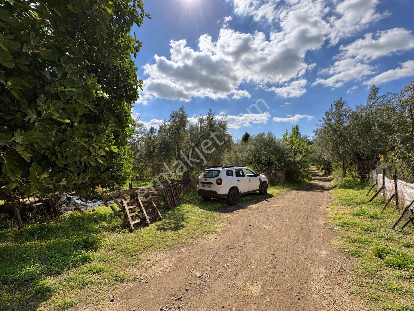 Mera Emlaktan Havran Temaşalık Mh. 235m2 4 Villalık İmarlı Arsa — fotoğraf 6