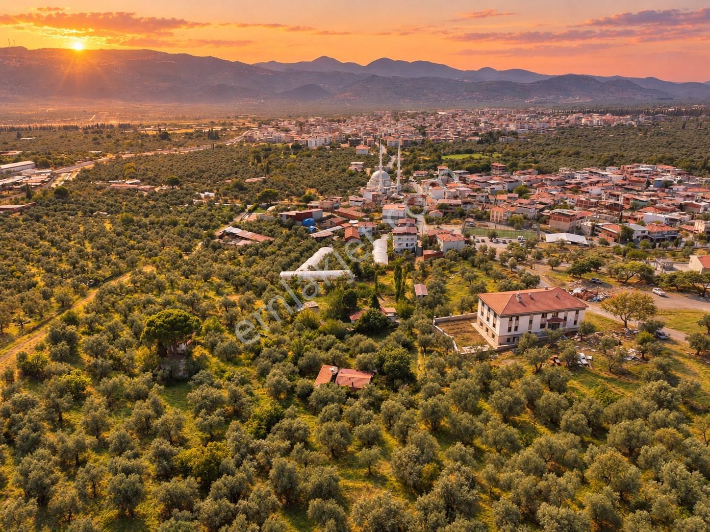 Mera Emlaktan Havran Temaşalık Mh. 235m2 4 Villalık İmarlı Arsa — fotoğraf 8