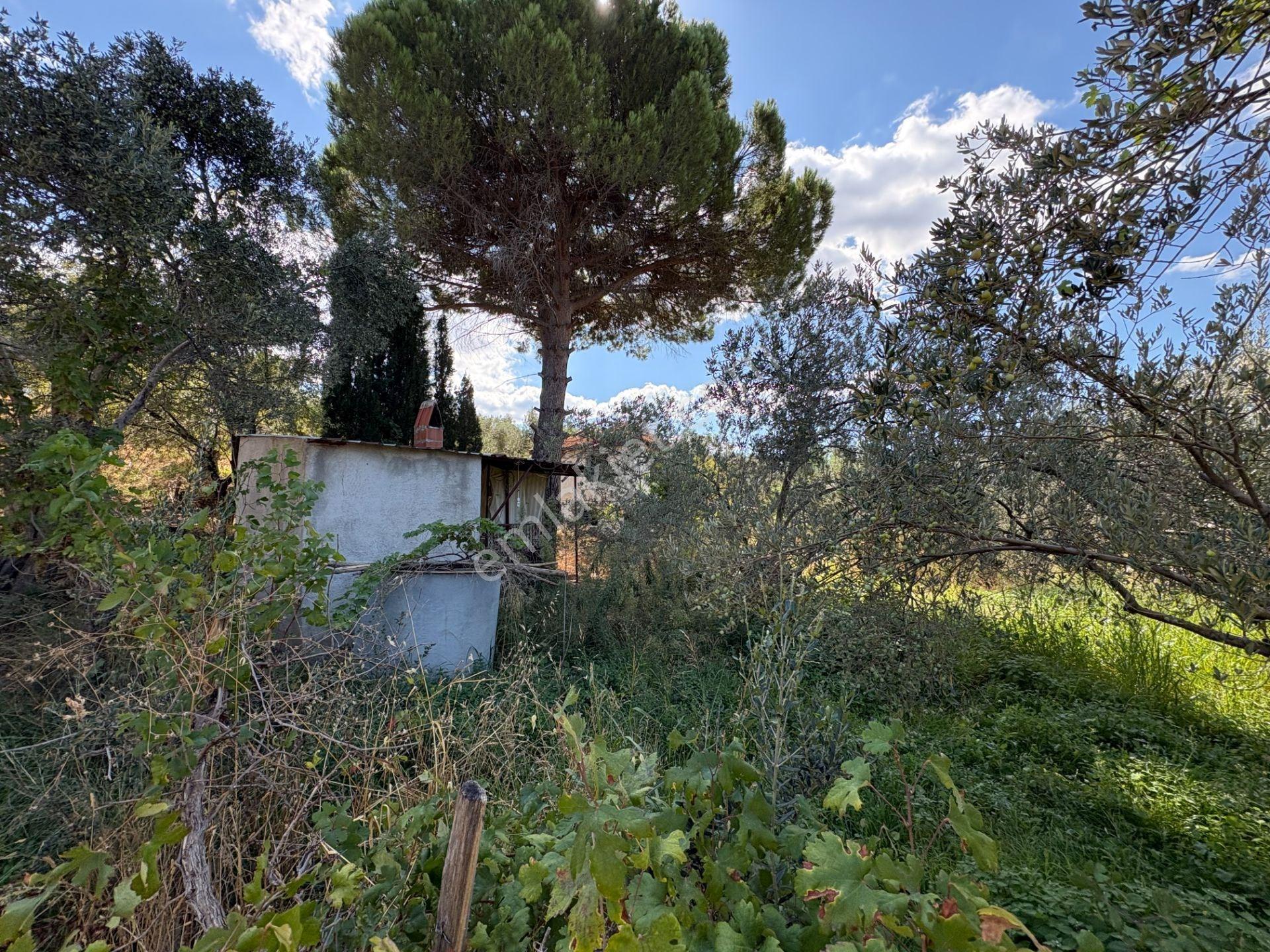 Mera Emlaktan Havran Temaşalık Mh. 235m2 4 Villalık İmarlı Arsa — fotoğraf 9